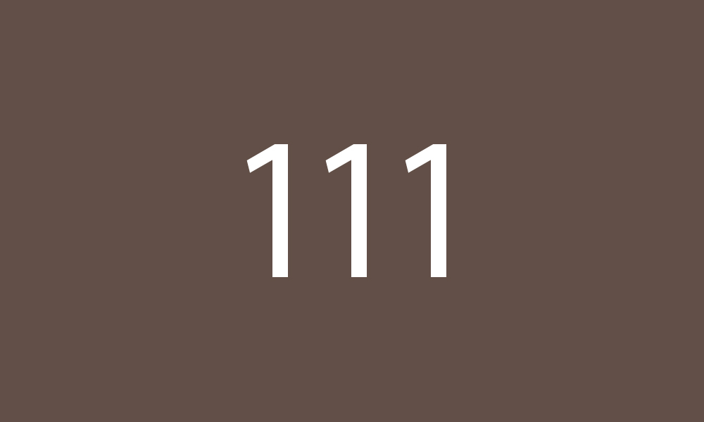 111 Nussbaum Dunkel