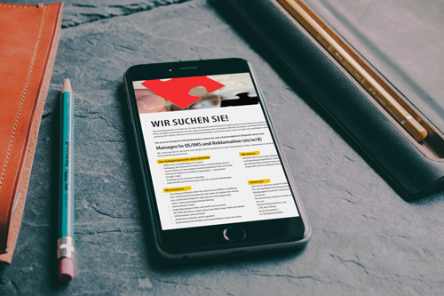 QS Management Karriere